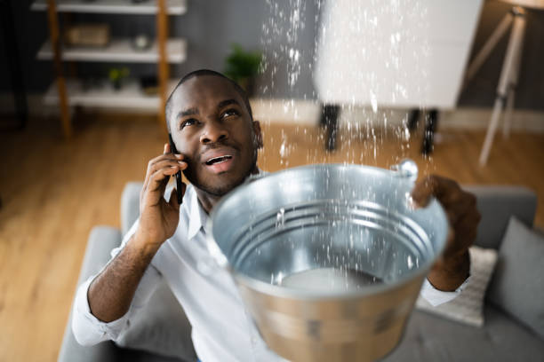 Best Water damage restoration experts  in Odem, TX
