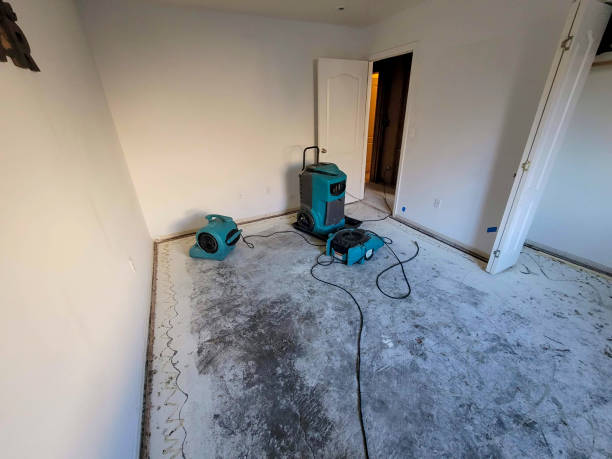 Best Emergency water damage restoration  in Odem, TX