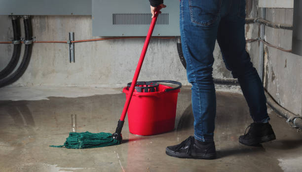 Reliable Odem, TX Water damage restoration Solutions