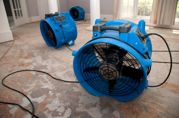 Professional Water damage restoration in Odem, TX