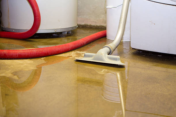 Best Flood damage cleanup  in Odem, TX