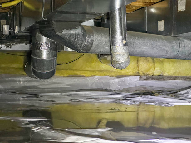 Best Local water damage restoration  in Odem, TX