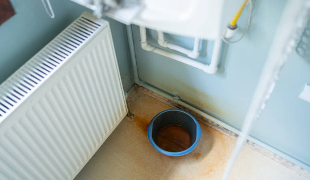 Best Water damage repair service  in Odem, TX