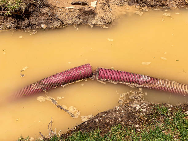 Best Emergency water damage restoration  in Odem, TX