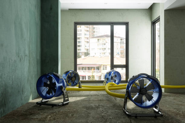 Best Water damage restoration cost  in Odem, TX