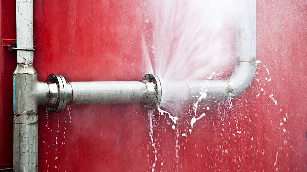 Best Ceiling water damage repair  in Odem, TX